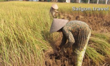 cycling mekong delta