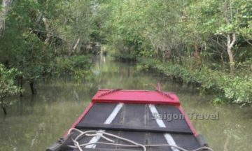 Mekong Delta Day Trip Cai Be Vinh Long from Phu My port